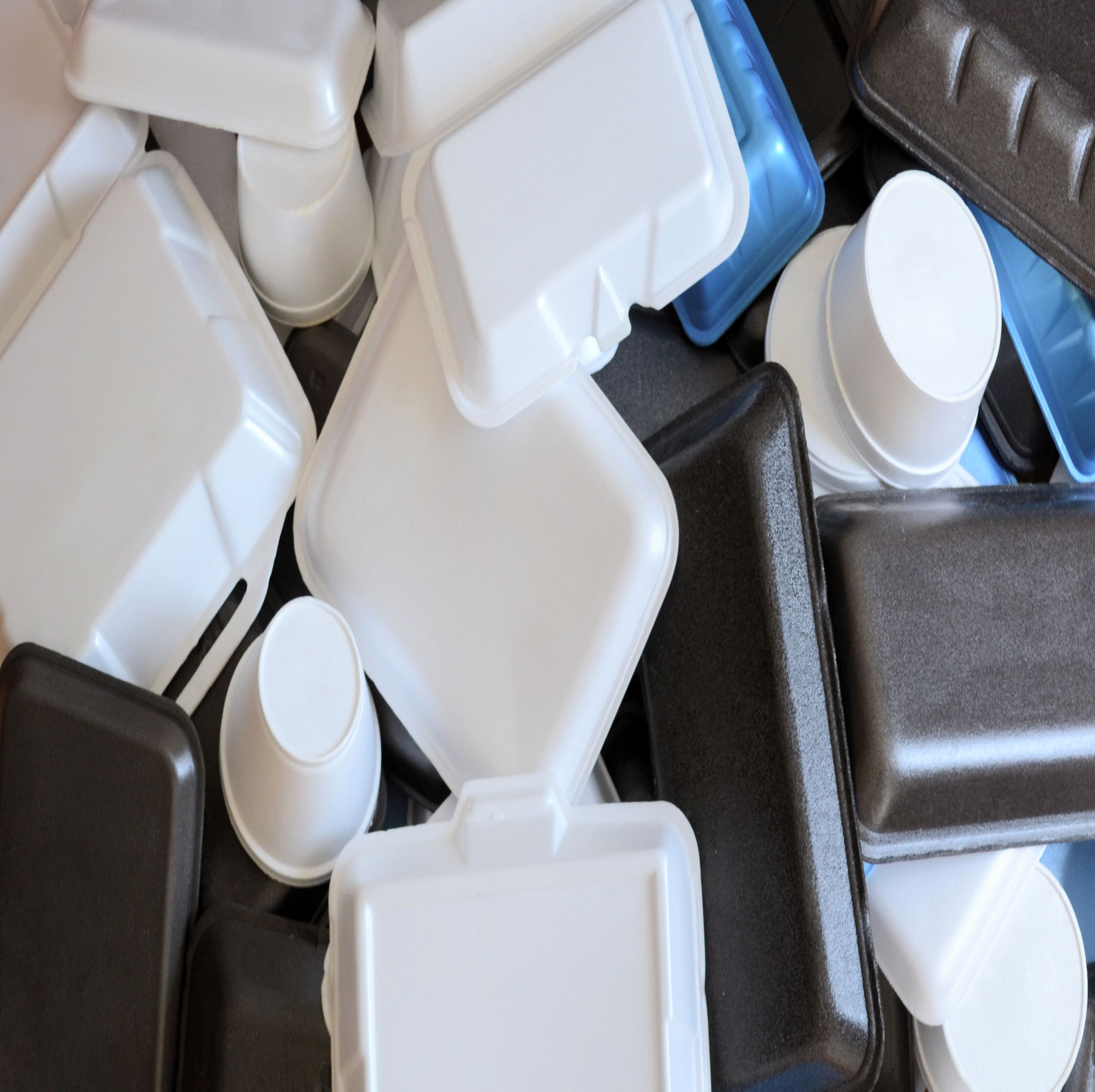 Polystyrene Food Containers 2