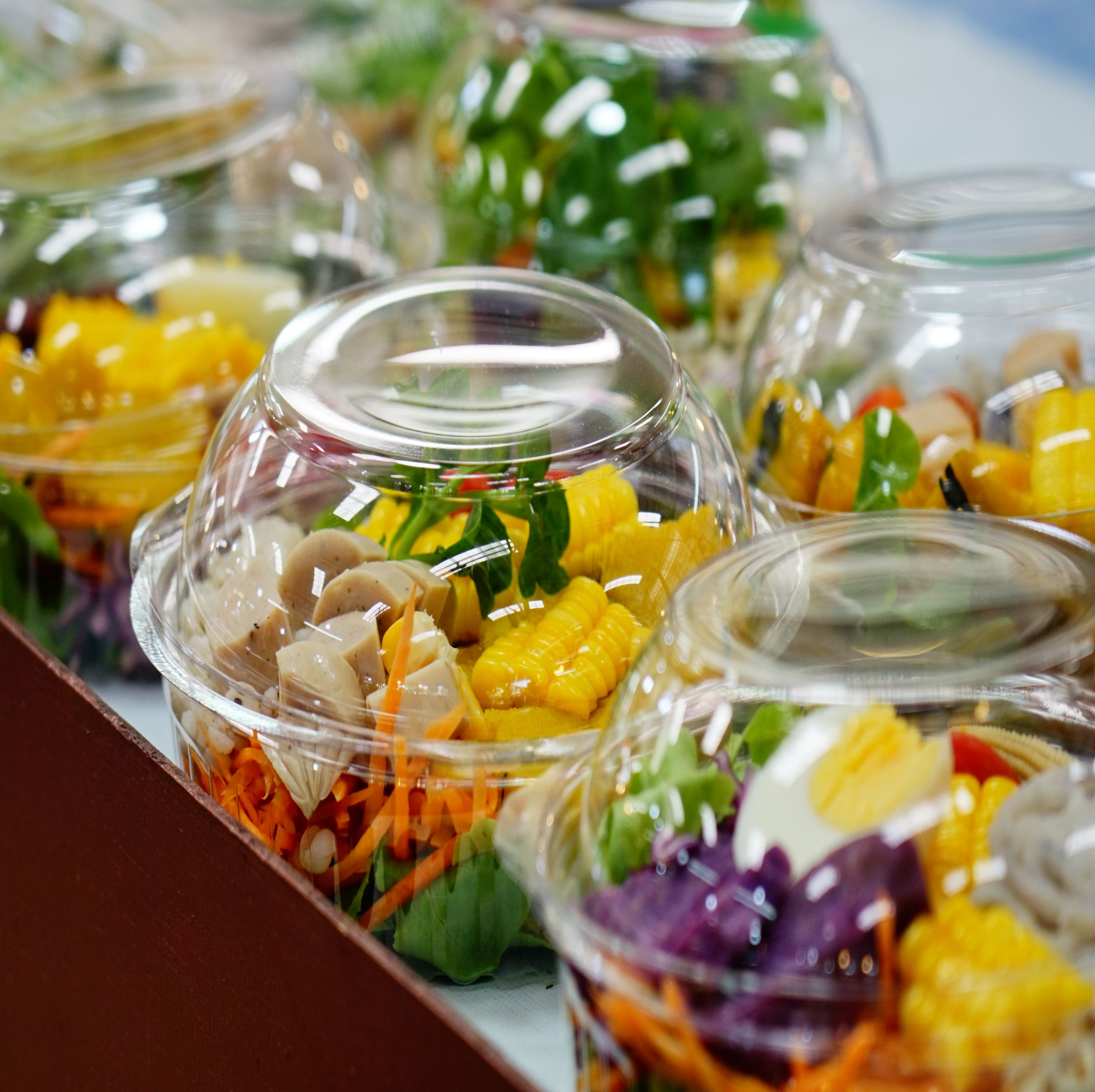 Hinged Salad Containers 2