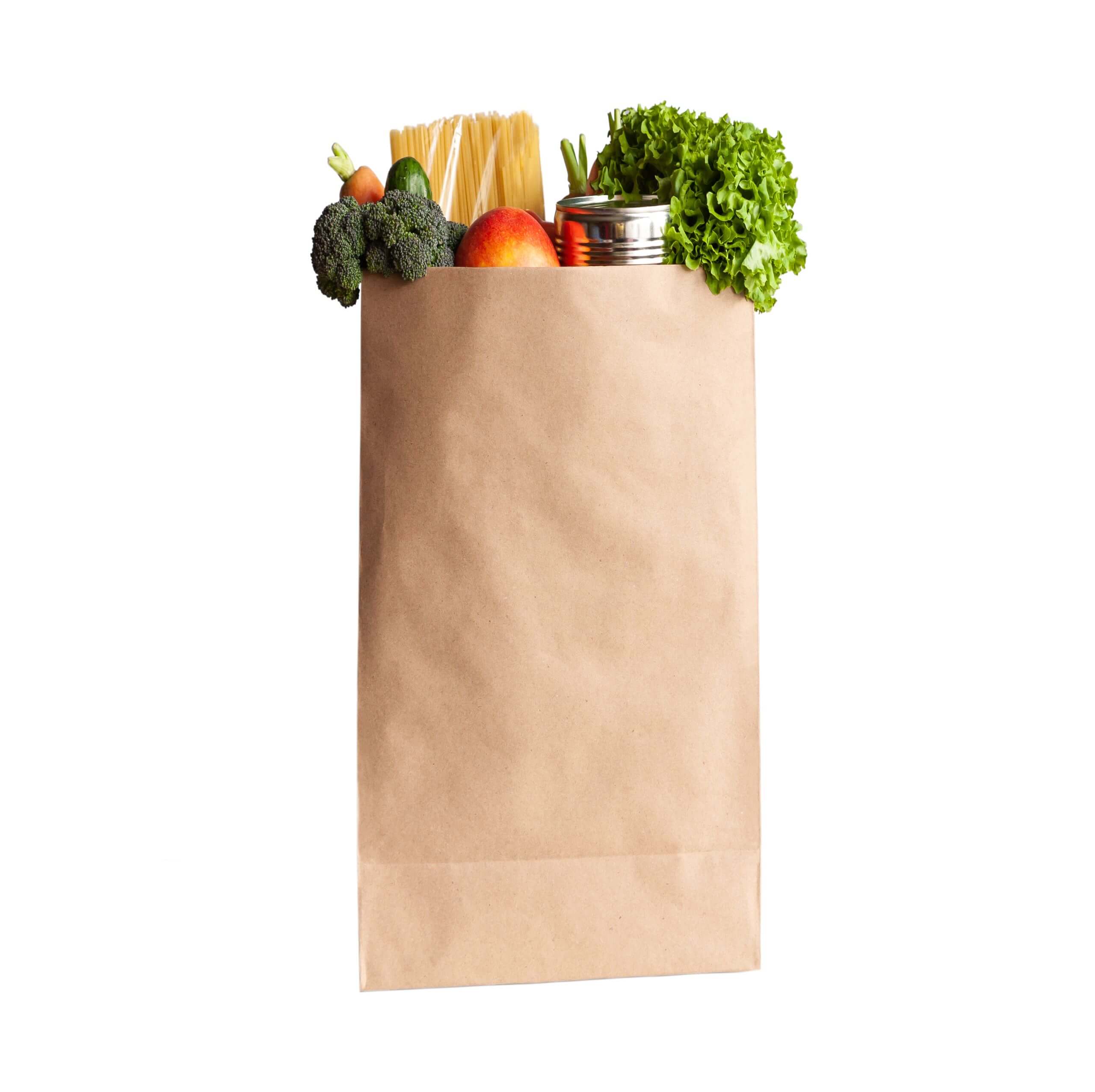 An image of a single Paper Bag with No Handles.