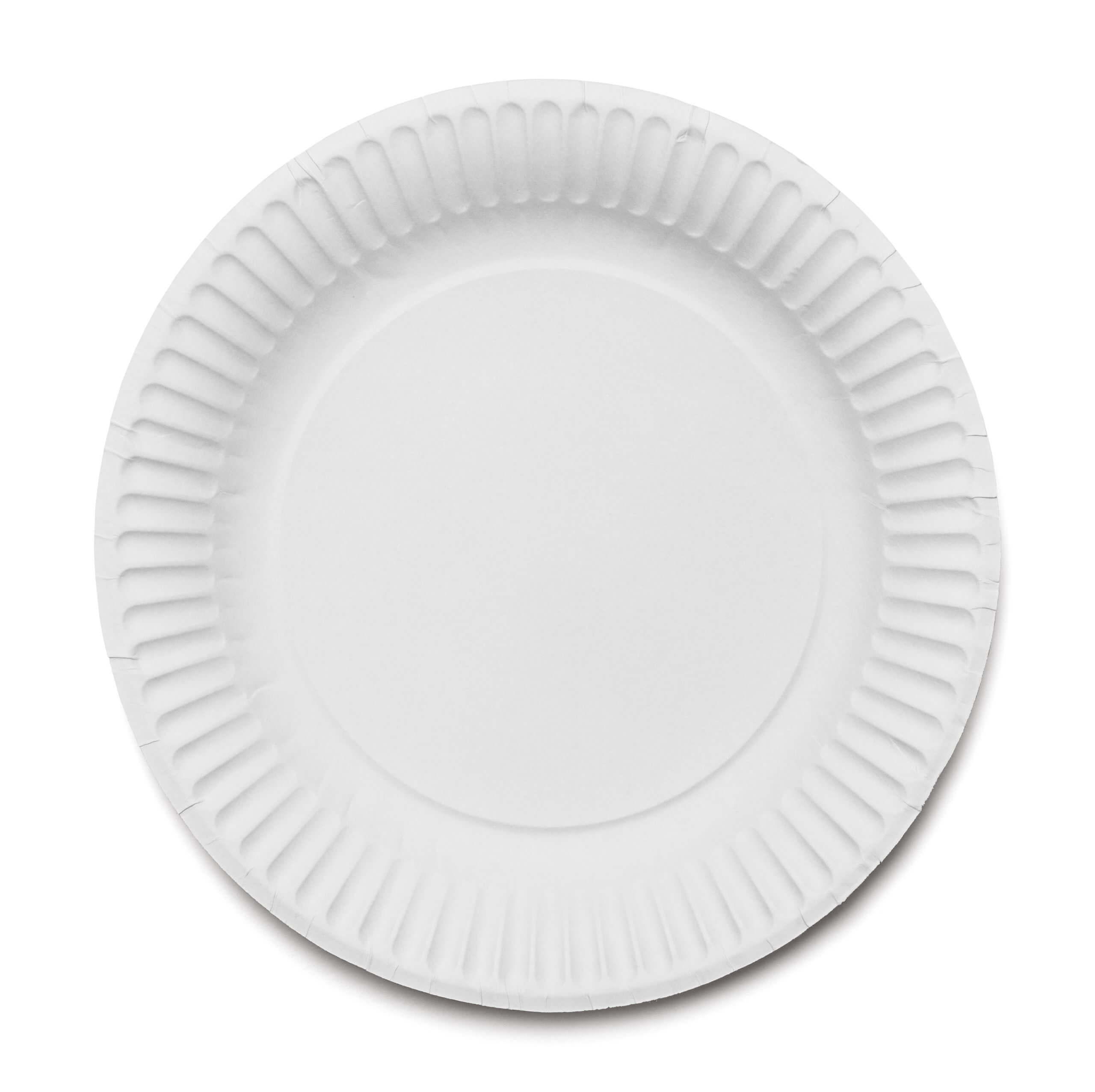 An image of one of our Paper Picnic Plates.